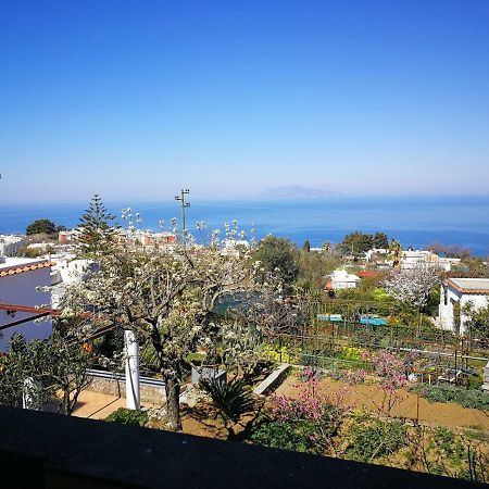 Maryhome Ανακάπρι Εξωτερικό φωτογραφία