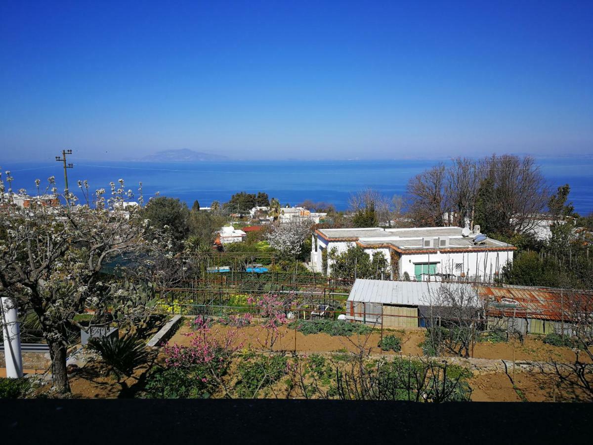 Maryhome Ανακάπρι Εξωτερικό φωτογραφία